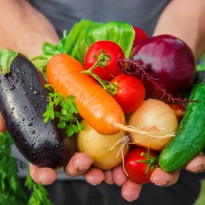 homemade vegetables in the hands of men. harvest. selective focus. homemade vegetables in the hands of men. harvest. selective focus. summer.