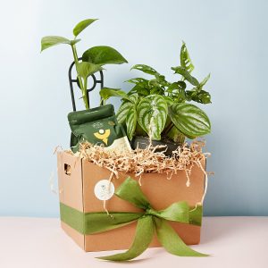 plant-lovers-gift-1